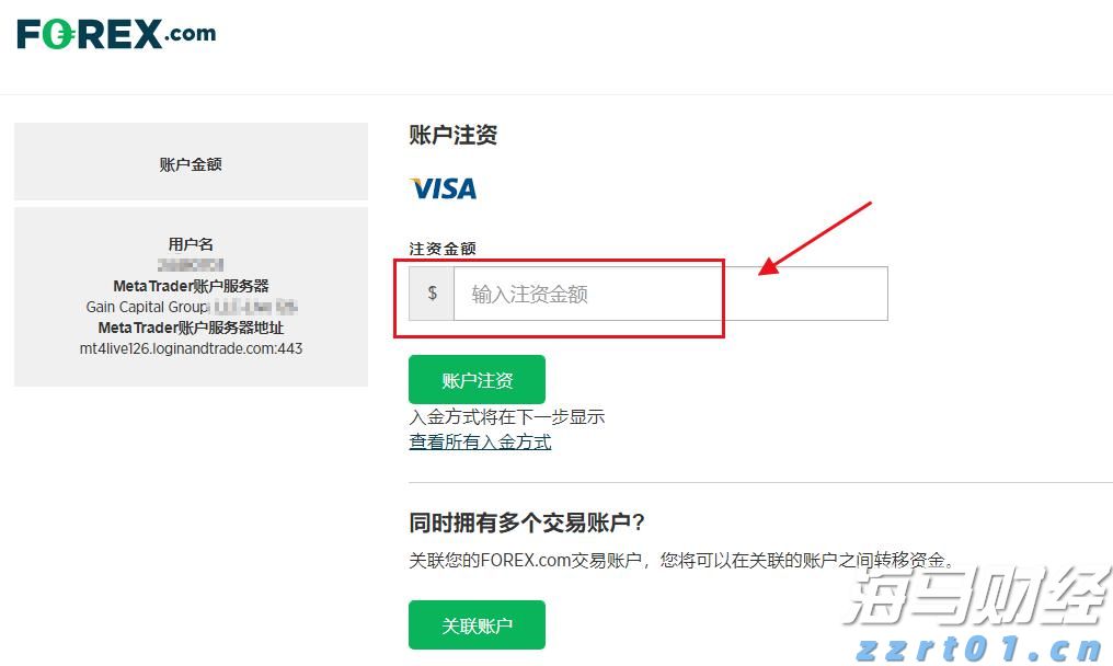 白羽鸡苗价格在一个月内上涨180%：是趋势逆转还是短暂现象？