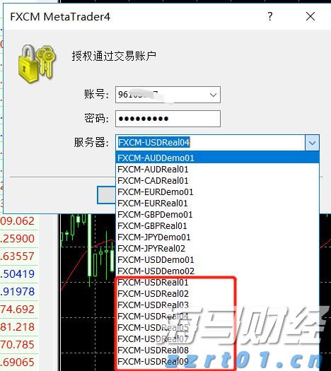 福建花卉产品畅销“一带一路”